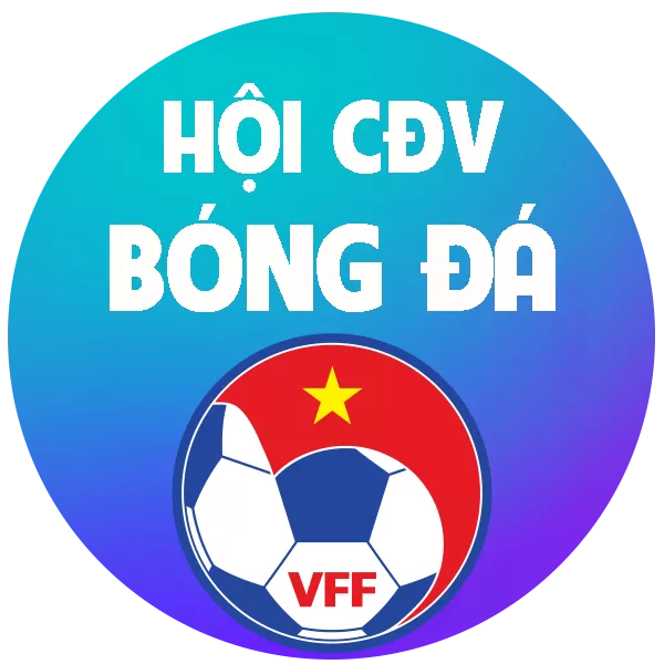 CDV Bóng đá Việt Nam